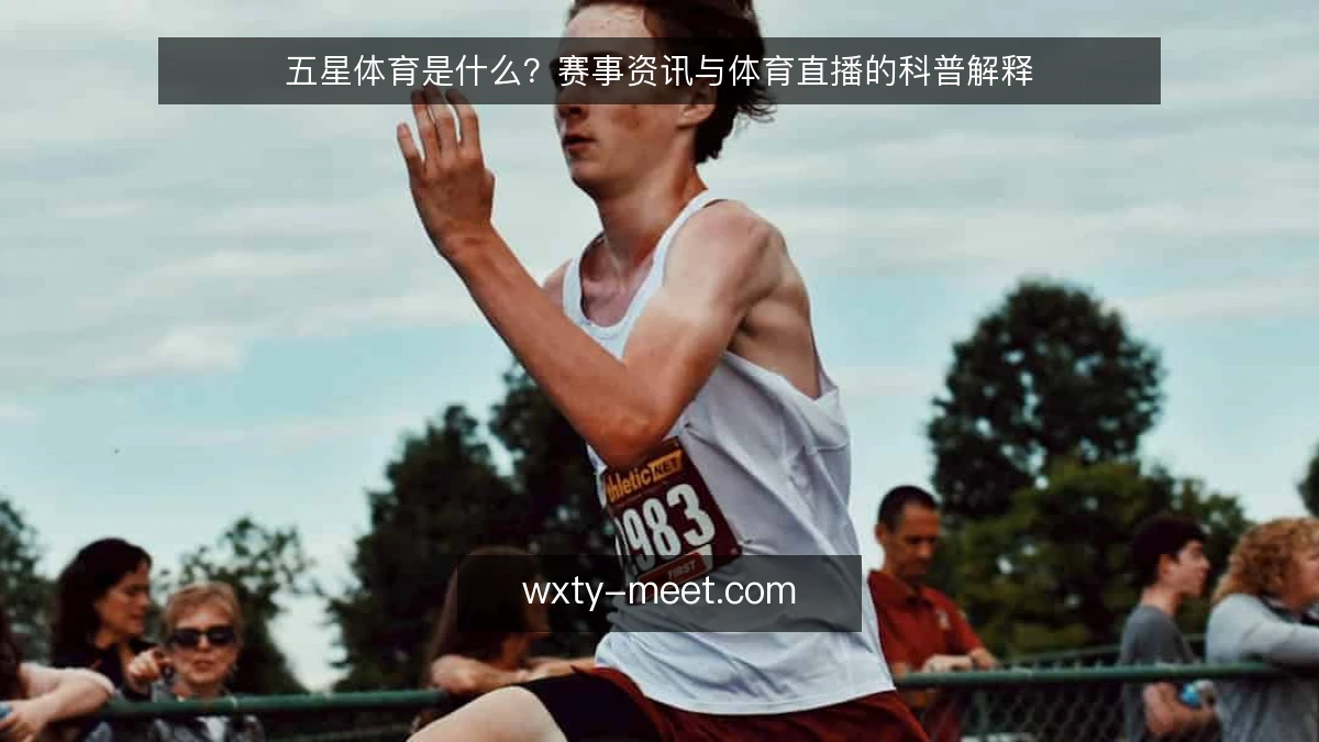 五星体育是什么?赛事资讯与体育直播的科普解释