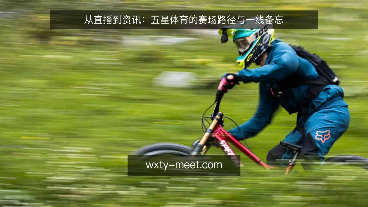 从直播到资讯:五星体育的赛场路径与一线备忘