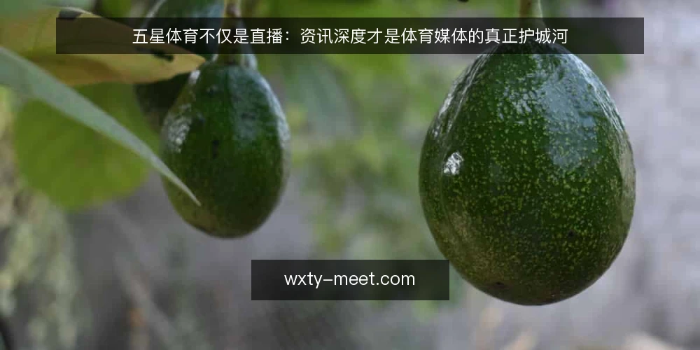 五星体育不仅是直播:资讯深度才是体育媒体的真正护城河 — 需求定义:体育迷真正需要什么? 配图