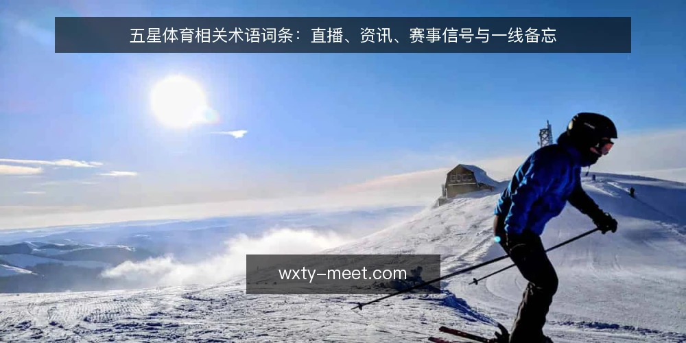 五星体育相关术语词条:直播、资讯、赛事信号与一线备忘 — 信号监测要点 配图
