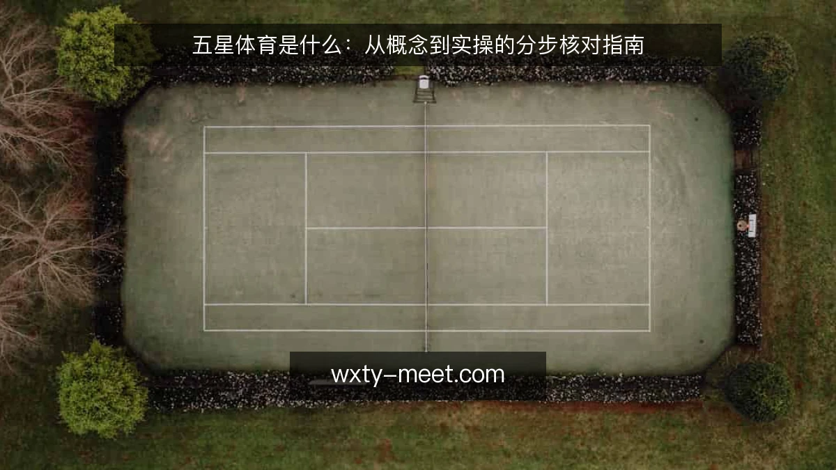 五星体育是什么:从概念到实操的分步核对指南